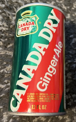 CANADA DRY GINGER ALE MINNESOTA VIKINGS STRAIGHT STEEL HELMET CAN - Bild 4 von 6