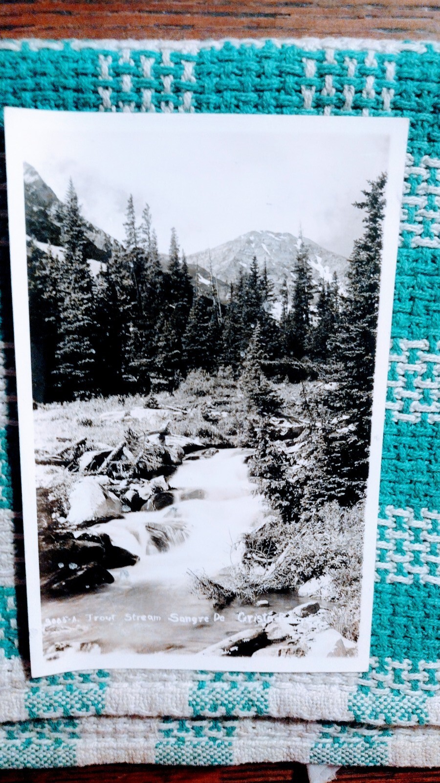 Picture 10 of 12