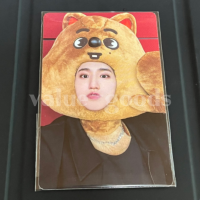 STRAY KIDS 7th Mini Album 'MAXIDENT' JYP SHOP POB PhotoCard PC | eBay