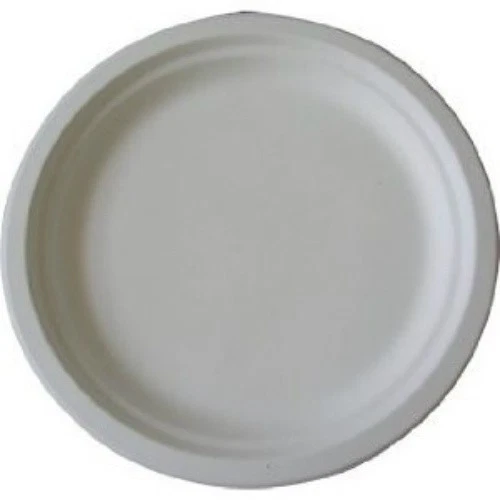 DELISUPPLIES 9" White Bagasse Sugarcane Plates Biodegradable and Compostable Box of 500