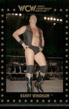 1991 Championship Marketing WCW Barry Windham #17