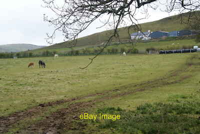 Ponys mit Jungen unter Moelfryn Creative Commons Lizenz [einige c2012