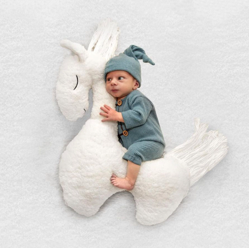 Newborn Lama Prop Posing Pillow Photo Shoot Baby Girl Boy Infant Photography - Picture 6 of 10