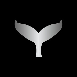 ProBytes LTD | eBay Stores