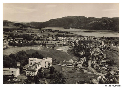 AUTO - ABSP12-0867 - NORWEGEN - MANSOS - Mittet