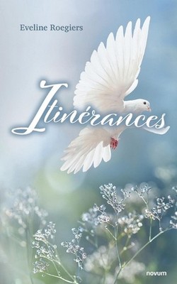 Itinrances by Eveline Roegiers Paperback Book