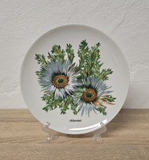 Mitterteich Teller Wandteller Sammelteller Blumen Vintage Porzellan