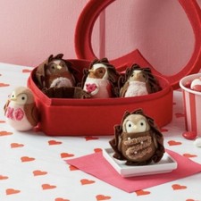 NEW Target Spritz Valentine 2025 Featherly Friends Box Of Chocolates Mini Birds