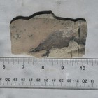 PINK DENDRITIC JASPER SLAB ~ 67 grams / rough agate mineral rock cab — photo 7