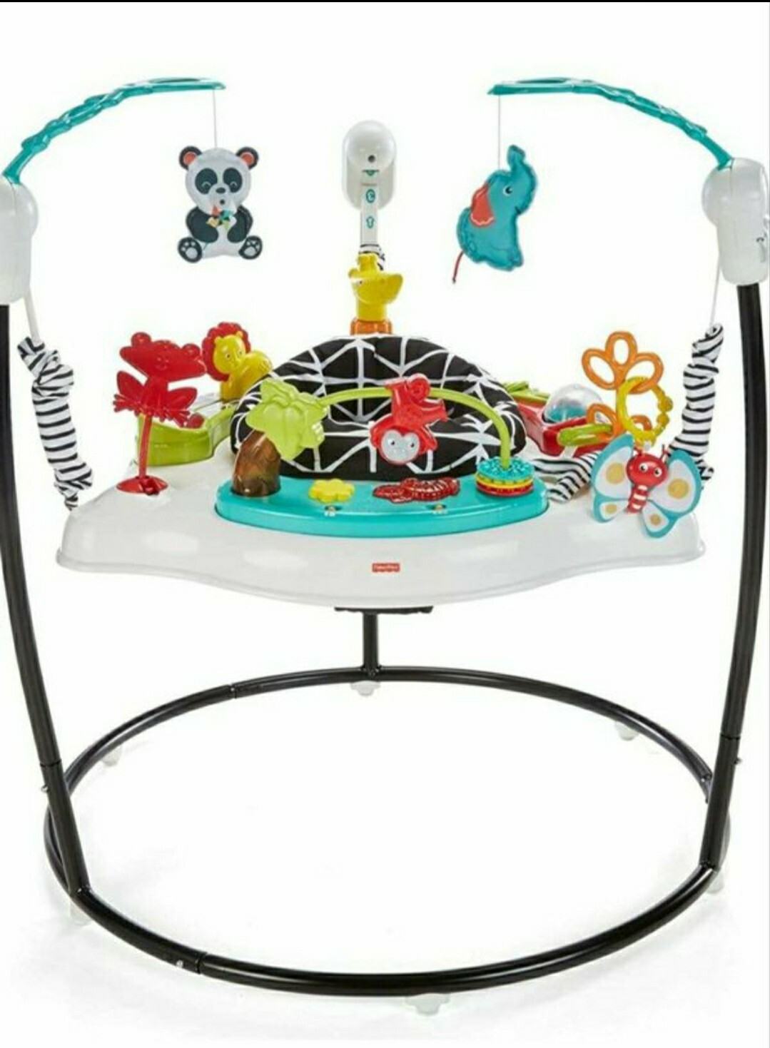 rainforest jumperoo ebay
