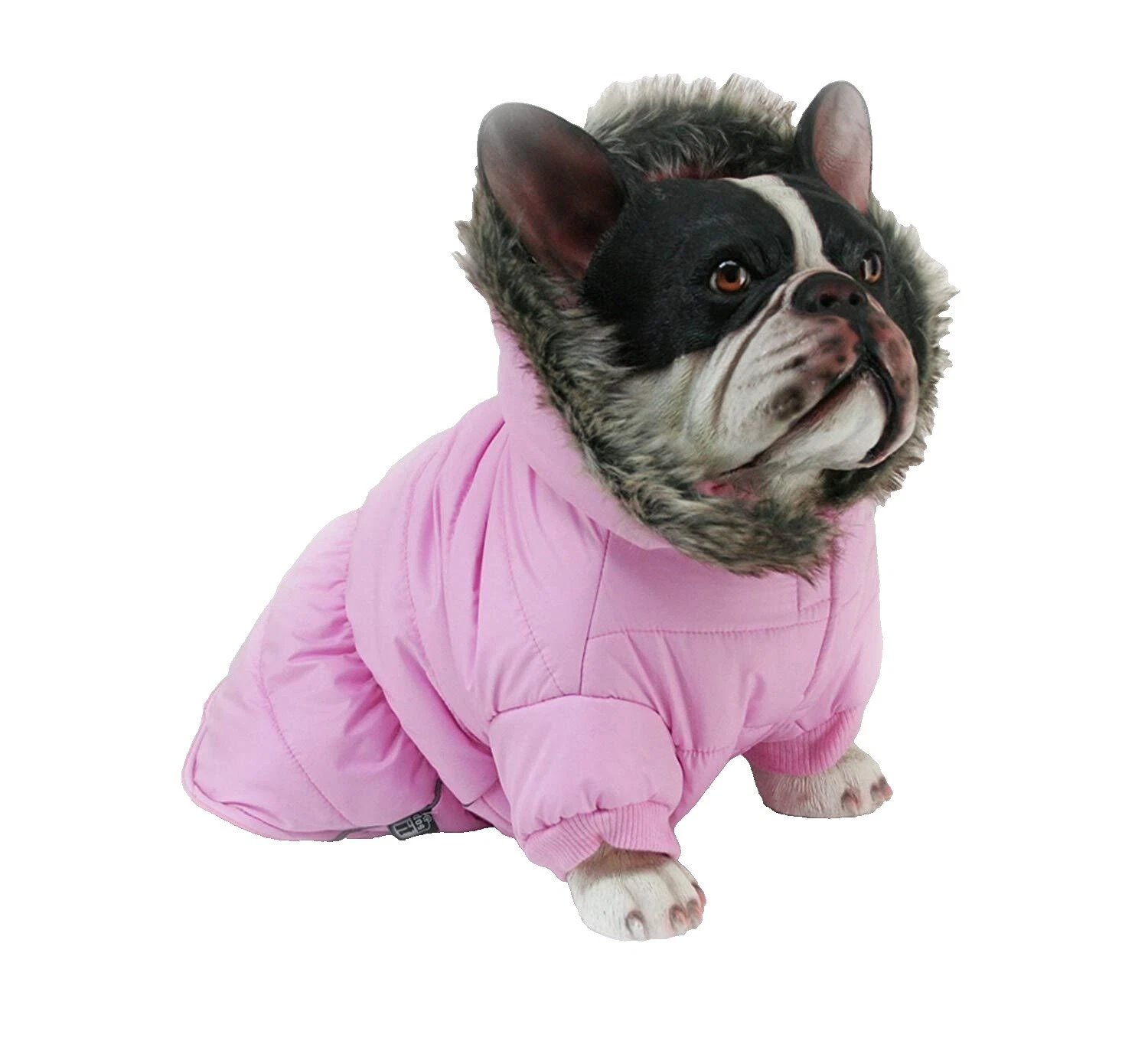 Roupas e calçados para cães Dogit