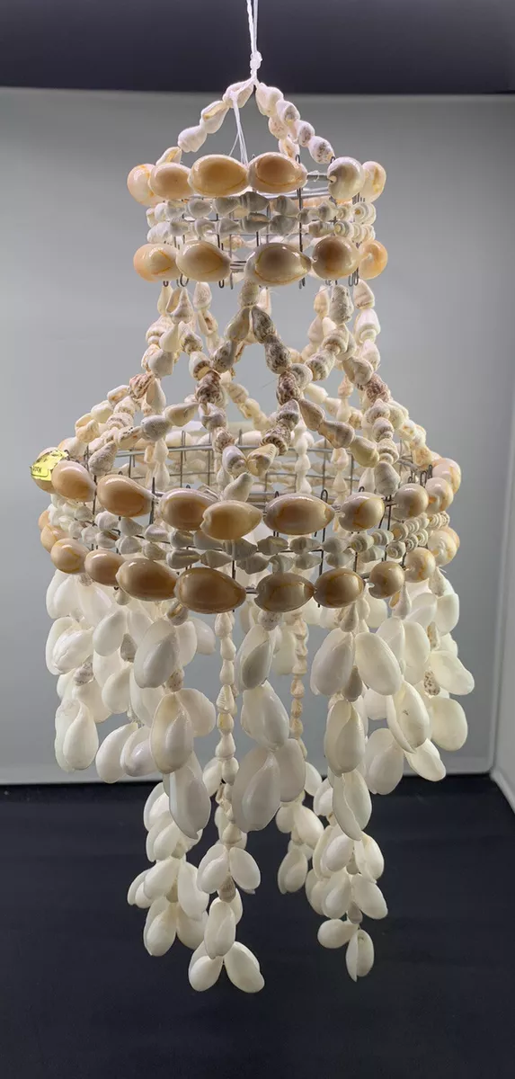 Chandelier made of shells deals