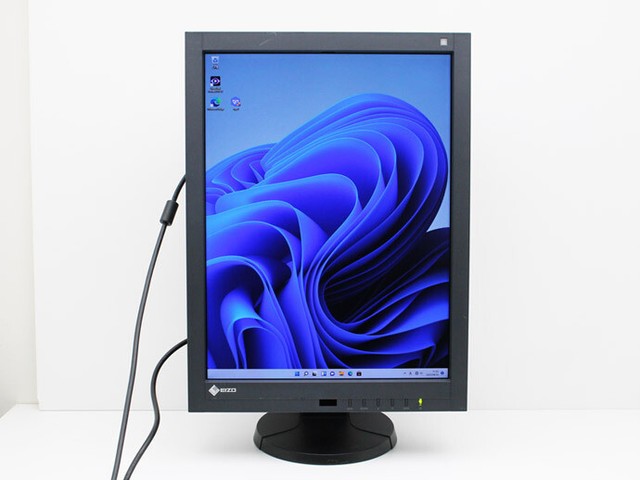 EIZO RadiForce RX240 - LED monitor - 2MP - color - 21.3