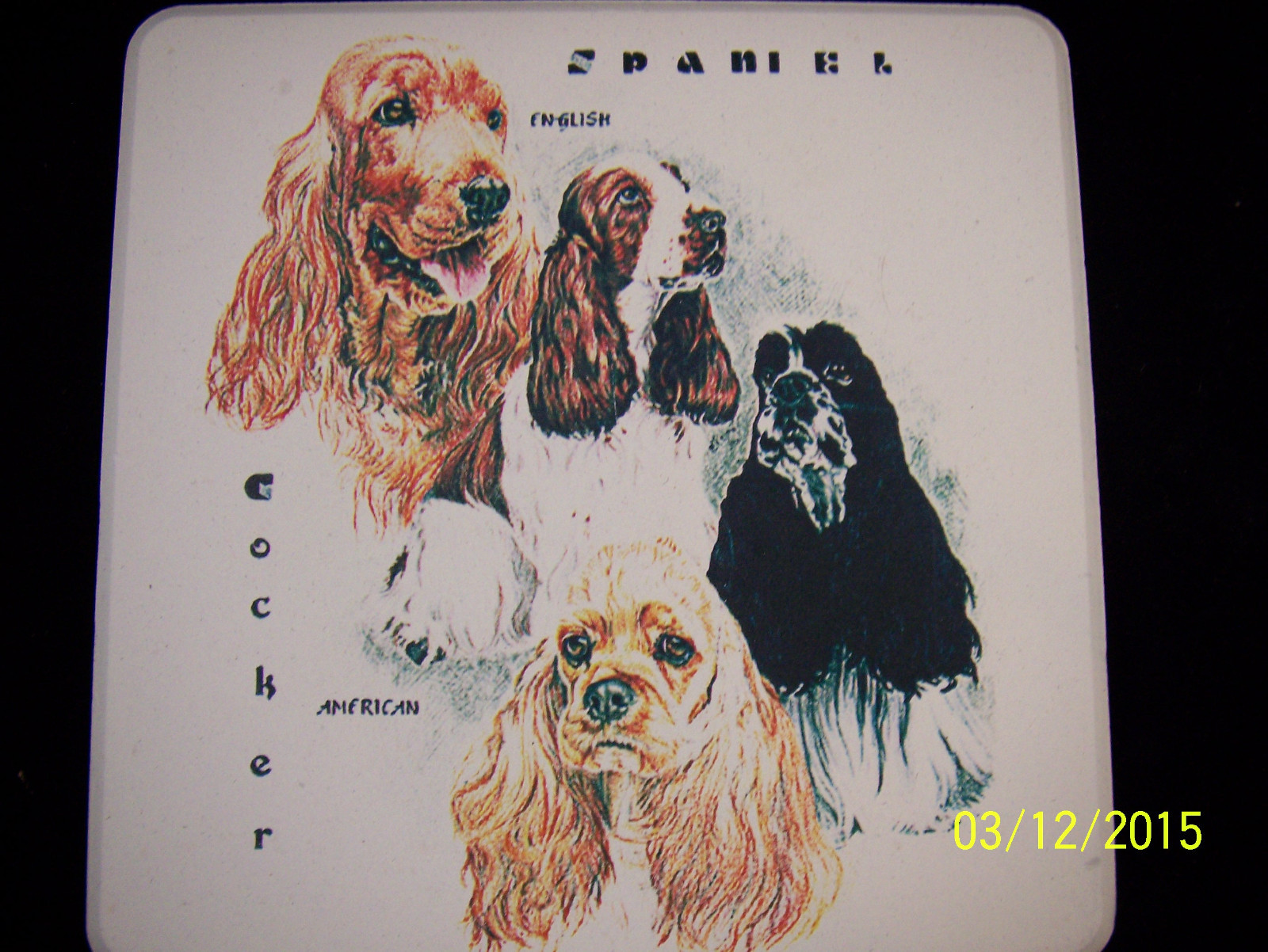 Picture 3 of 13