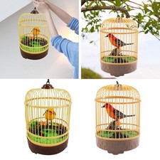 Toy Induction Parakeet Colors Gift Figurine Bird Cage for Easter Home Branch