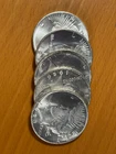 Lot of 5 PEACE SILVER DOLLAR, 1922-1928 Year (Mixed Date), San Francisco Mint