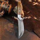 8.9" inch Damascus Steel Hunting Knife Full Tang Resin Handle Leather Sheath — photo 4