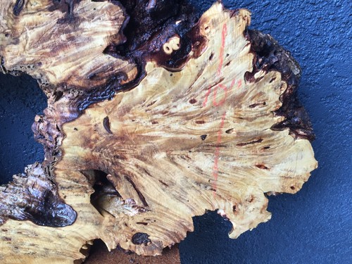 Buckeye Burl Natural Edge Slab Crafts Turning 2 1/4" x 20 3/4" x 43" #771 - Picture 4 of 12
