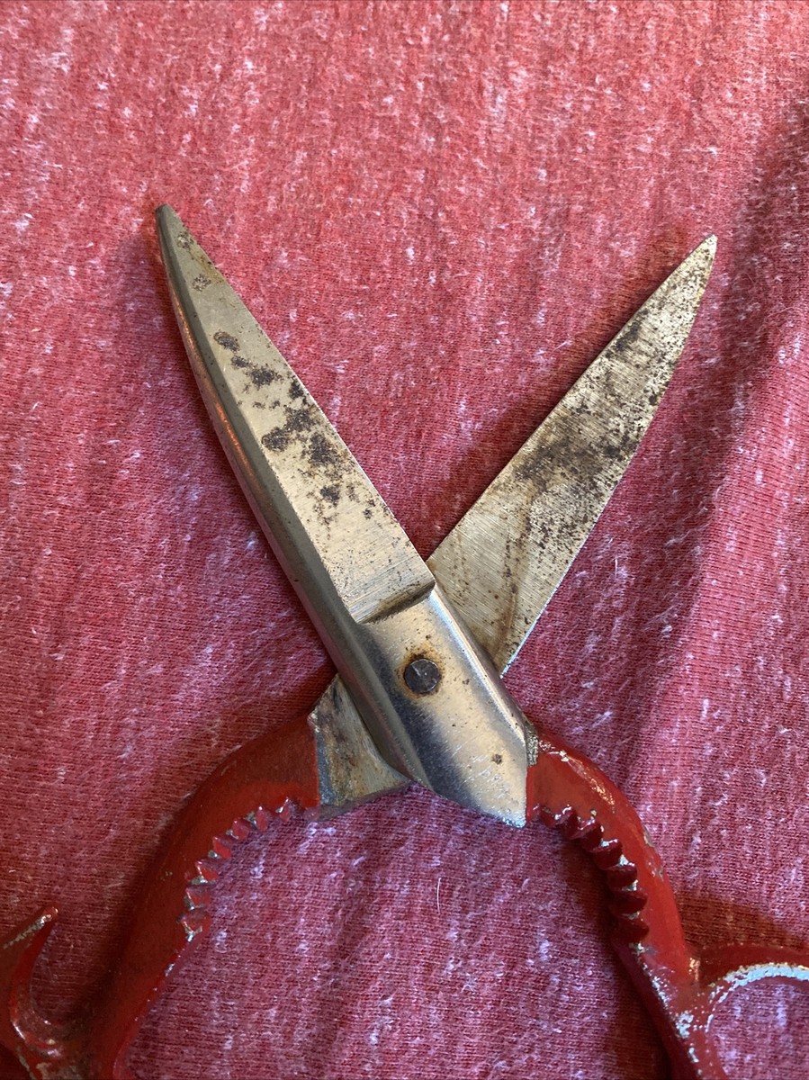 Vintage 8