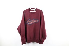 Vintage 90s American Eagle Outfitters Mens XL Faded Script Spell Out Sweatshirt