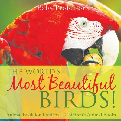 Baby | The World's Most Beautiful Birds! Animal Book for Toddlers Children's...