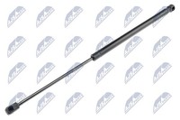 NTY AE-CT-036 LuftfederdäMpfer FüR Heckklappe/Kofferraum CitroËN