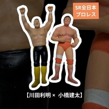 All Japan Pro Wrestling Real Figure 2001! 