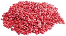 TOPICIDA RODENTICIDA PRONTO ALL'USO ELIMINA TOPI E RATTI IN GRANOROSSO DA 1,5KG