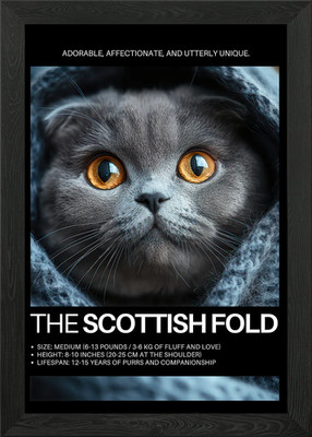 Scottish Fold Cat Portrait Gerahmtes Wandbild Poster Leinwanddruck Bild
