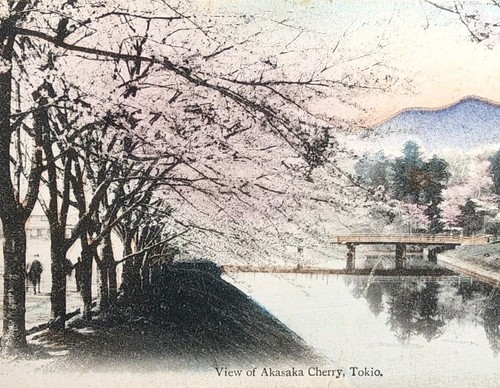 1911 Picture Postcard ~ View Of Akasaka Cherry, Tokyo, Japan ~ #-6464 - Picture 8 of 15
