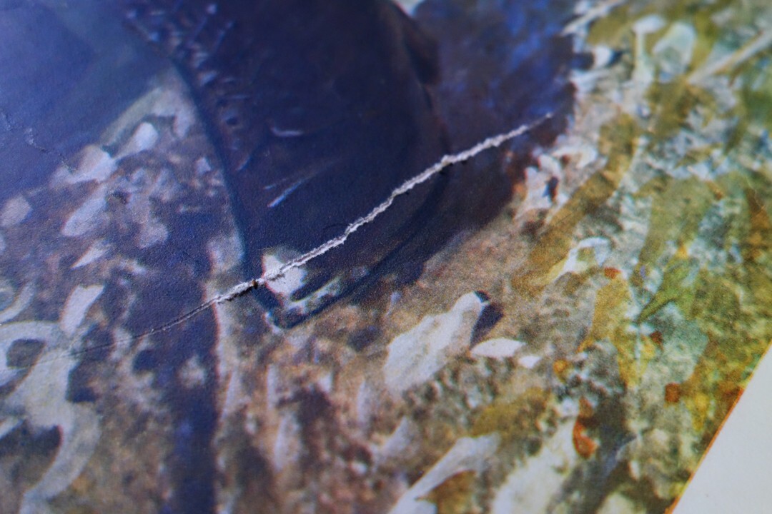 Picture 6 of 7