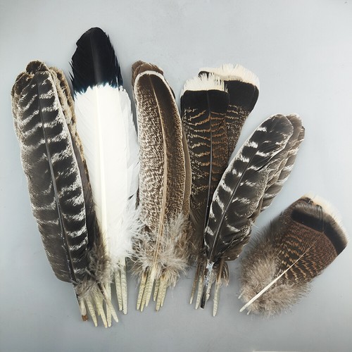 10/50Pcs Natural Turkey Feather for Crafts Plume Holiday Decoration Carnival DIY - Picture 1 of 19