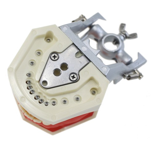 Tipodonte dental Kilgore Nissin 200 modelo 28 piezas poste de montaje dental examen - Imagen 8 de 94