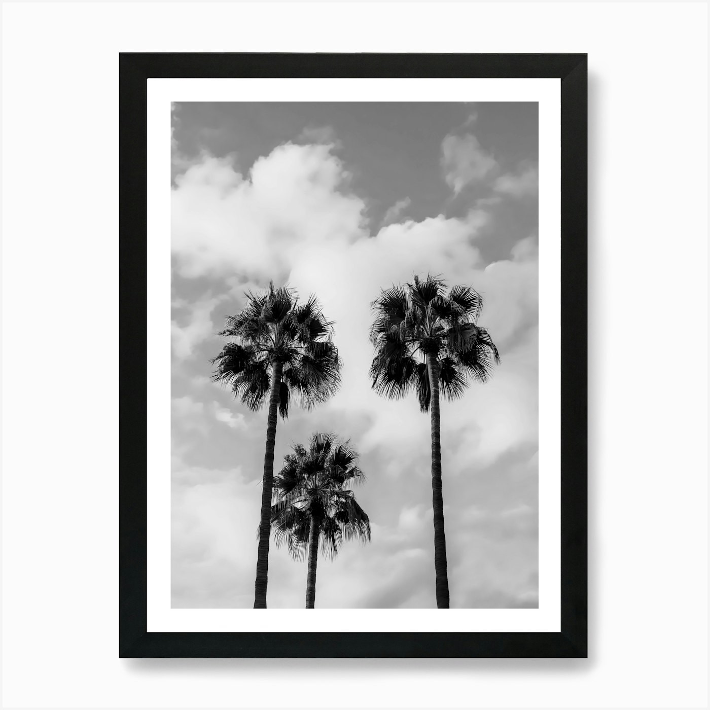 Palm Trees In The Sky 2 Framed Art Print Canvas Wall Decor