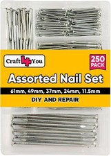 Image of Zinc Plated Assorted Flat Head Nails, 250pcs - 6 Sizes Flat Head Nails - for fr