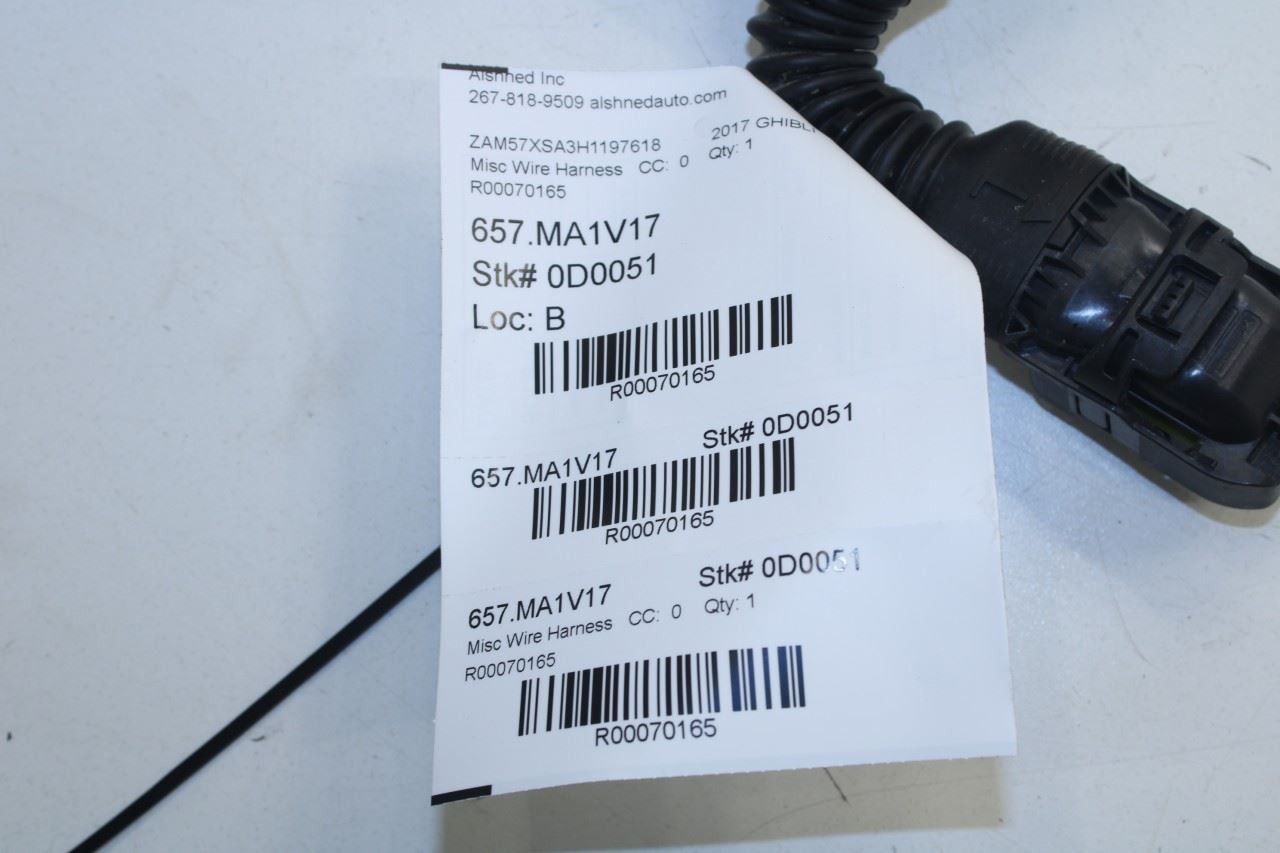 2017-2020 Maserati Ghibli Front Left Driver Side Door Wire Harness 670035803 OEM