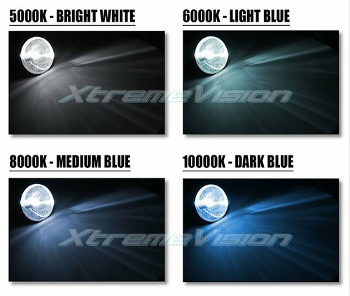 HID-Warehouse AC 55W H4 HID Xenon Kit - 4300K 5000K 6000K 8000K 10000K - Picture 4 of 7