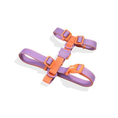 ZEE.DOG NeoPro 2.0 Iris Dog H-Harness | Weatherproof | Water Resistant Outdoor