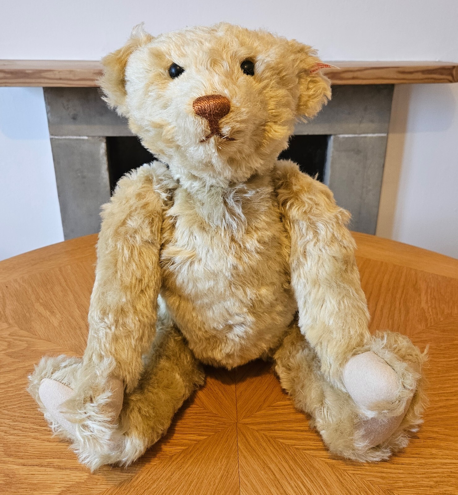 STEIFF 038297 TEDDY BEAR 52CM 2004 MOHAIR L. ED. No. 459 WITH BOX & CERTIFICATE