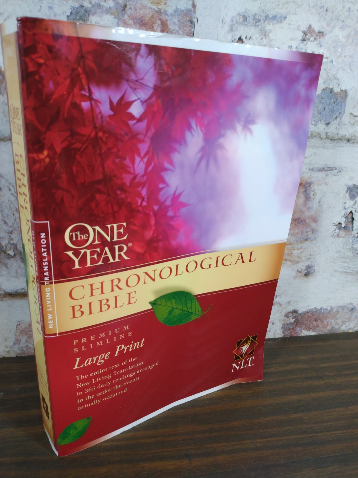 One Year Chronological Bible