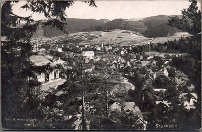 AK Steinach, Panorama, Foto Richard Weigel (Nr. 1426)