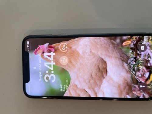 Apple iPhone XS and X 256GB - Silver (Unlocked) A1920 (CDMA + GSM) - Zdjęcie 6 z 7