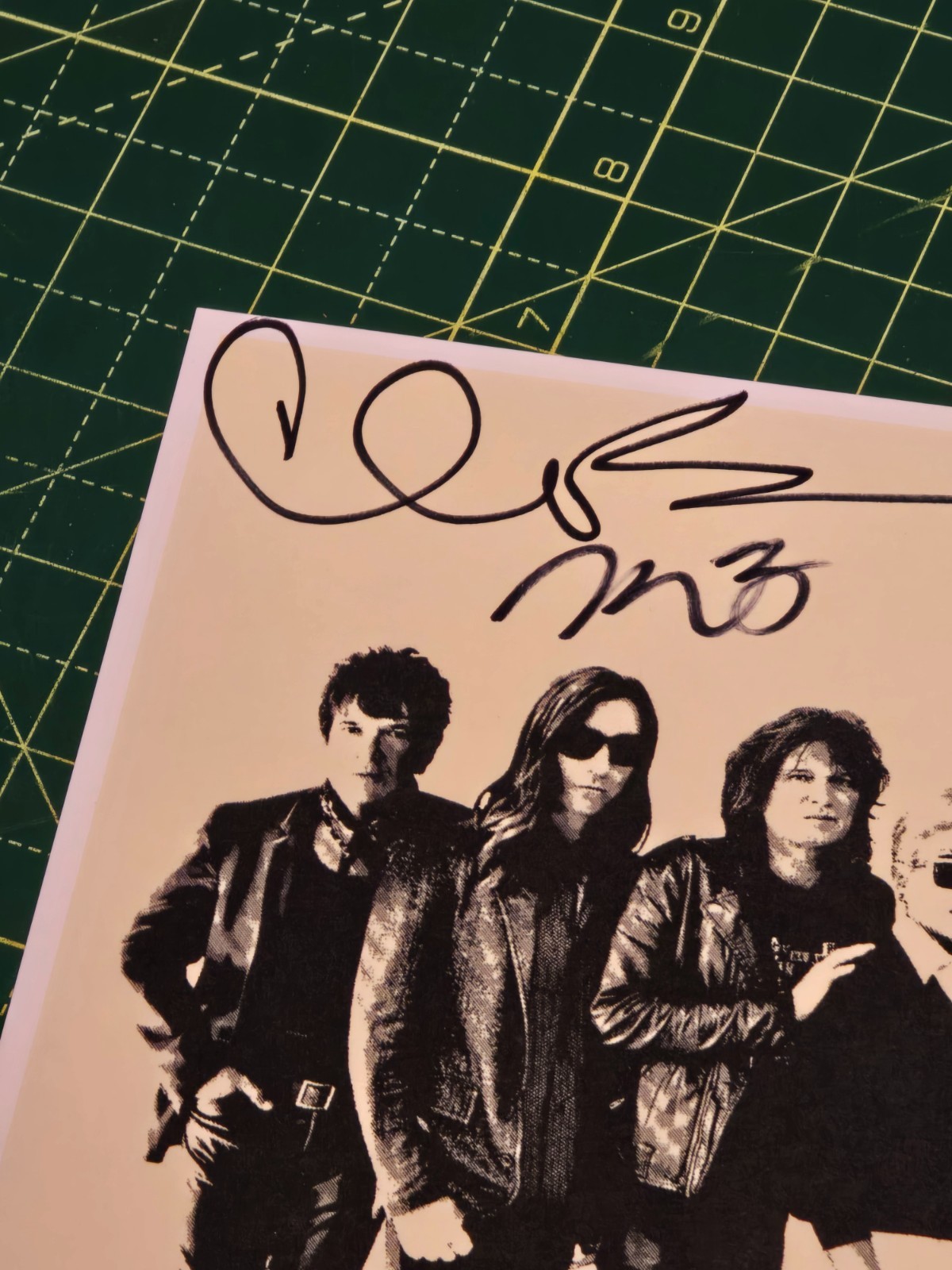 Blondie Pollinator Official Web Site only Fully Signed Print Debbie Clem Burke