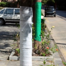 Enveloppe Arbre Respirante 2 Rouleaux 10cm par 35m pour Arbre de Jardin pour Pro