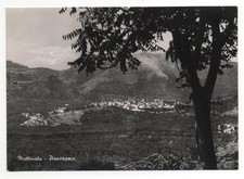 CARTOLINA  MATTINATA - PANORAMA - NON VIAGGIATA