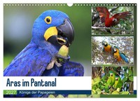 "Calendar 2027 · US Version · Aras Im Pantanal (Wall Calendar 2027 17\" × 12\" Land"