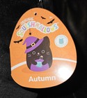 NWT 14" Squishmallows Autumn Black Cat Witch Hat Potion Halloween Exclusive — photo 4