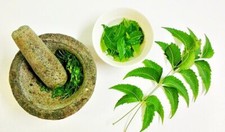 Neem Powder Dried Leaf Pure  Natural Raw Vegan Azadirachta indica organic