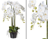 Orchideen Kunstblume Mit 6Weiß Farbigen BlüTenzweigen 96Cm Im Topf Von Bambussi