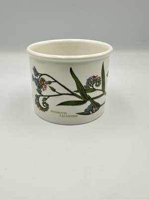 Portmeirion Botanischer Garten Myosotis palustris Vergissmeinnicht kleiner Pflanzkübel
